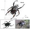 Oenux Simulation Dragonfly Grasshopper Centipede Wild Insect Animals Model Action Figures Miniature Education Collection Kid Toy