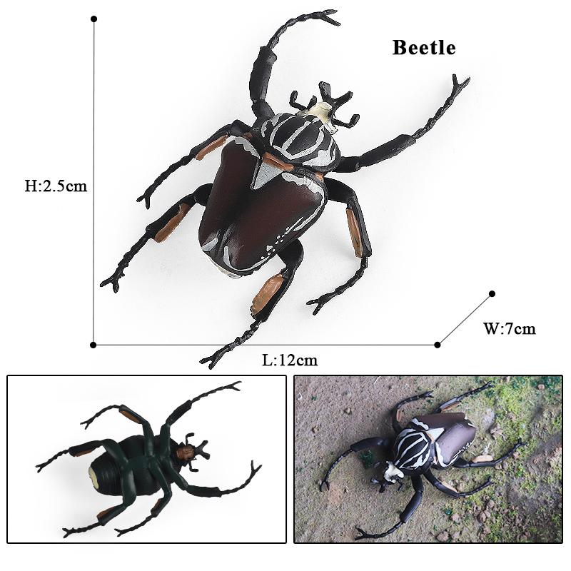 Oenux Simulation Dragonfly Grasshopper Centipede Wild Insect Animals Model Action Figures Miniature Education Collection Kid Toy