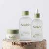 Birch Rich Origin Set 150ml+100ml+50ml