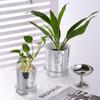 Glass Lenses Flower Pots DISCO Flower Pots Plastic Planters Boutique Succulent Flower Pots Home Decoration