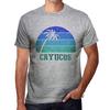 Men’s Vintage Tee Shirt Graphic T Shirt Cayucos Sunset Grey Marl
