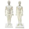 Acupuncture Model 48/50CM Female Male Body Model Acupoint Learning Display Laboratory Supplies Display with User Manual