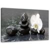Canvas Print, Zen Stones and Orchid