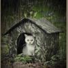 Outdoor Cat Rainproof Nest Waterproof Winter Warm Outdoor Kennel Stray Cat Escape House Closed Sleeping Nest