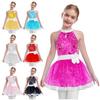 Girls Ballet Tutu Dress Shiny Sequins Layered Tulle Sleeveless Cutout Back Design Costume