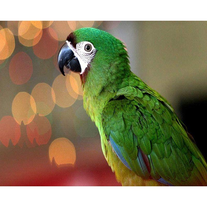 Diamond Embroidery Mosaic Animal Parrot Cross Stitch 5D DIY Diamond Painting Craft Kit Home Rhinestones Gift Decorati