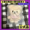 [USED] Skzoo Stray Kids Seungmin Puppy 10cm Plush Toy 5