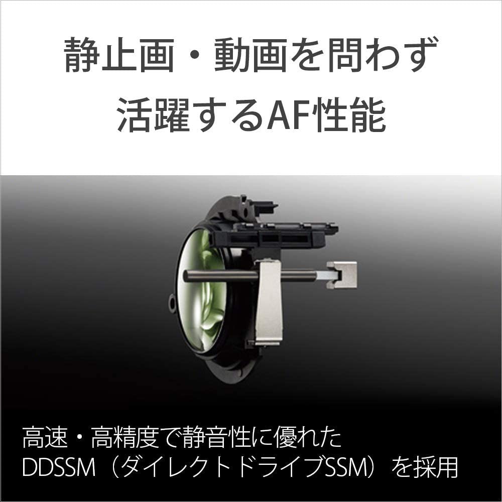 Sony Standard Zoom Lens Full Size FE 24-105mm F4 G OSS G Lens for Digital Single Lens Camera [E Mount] Genuine Lens SEL24105G