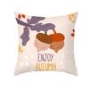 Autumn Harvest Thanksgiving Cushion Cover New Arrival Turkey Pumpkin Peach Skin Printed Cushion