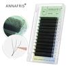W-shaped 3D Clover Premade Volume Fans Eyelash Extensions 0.07mm Thickness C/D Curl Natural Soft Matte Mink W False Lashes