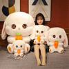30cm Kawaii Bunny Dolls Lovely Long Ear Rabbit Plush Toys Stuffed Soft Animal Pillow Girls Kids Birthday Xmas Gifts