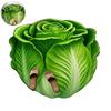Chinese Cabbage Floor Mat Non-Slip Absorbent Bathroom Rug 3D Visual Effect Cabbage Floor Rug for Entrance Living Room Kitchen