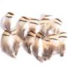 80 Natural Pheasant Feather Decorative Diy Jewelry Hair Accessories Material Cat Stick Toy Accessories