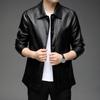 Men's Leather New Spring and Autumn Leather Jacket Casual Handsome Coat Trend Jacket Korean Version of Men's Wear