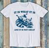 It Is What It Is and It's Not Great Raccoon Funny Gift Tee T Shirt 1782