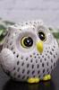 Owl Kutani Feng Good Lucky Birthday Gift Figurine, Pottery, Ware, Owl, White, Black, Shui, Luck, Charm,