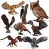Wildlife Children's Science Education Cognitive Bird Model Simulation Owl Woodpecker Carving Ornament Toy