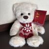 [USED] Harrods Teddy Bear Plush Toy