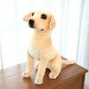 Cute Simulation Golden Retriever Doll Plush Toy Puppy Dog Doll Children Soothing Rag Doll Home Living Room Ornament