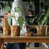 Nordic Imitation Ceramic Plastic Succulent Pots - Durable, Thickened, Large & Small Sizes for Effective Root Control