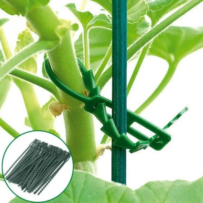 Adjustable Plastic Plant Cable Ties Reusable Cable Ties for Garden Tree Climbing Support Plant Vine Tomato Stem Clip