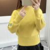 Autumn Winter Woman Sweaters Turtleneck Sweater Female Slim Pullover Jumper Embroidery Knitted Sweater Fashion Casual Top