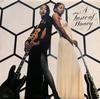 LP Record A TASTE OF HONEY - A Taste Of Honey ST11754 CAPITOL 1978 Canada Soul/Funk Used