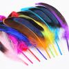 20 PCS Pheasant Feather 10-15 CM DIY Dream Catcher Making