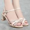 Fashion 2024 New Women Sandals Waterproof Platform Word Buckle High Heels Summer New Fish Mouth Sexy Sandals Ladies Shoes Gold