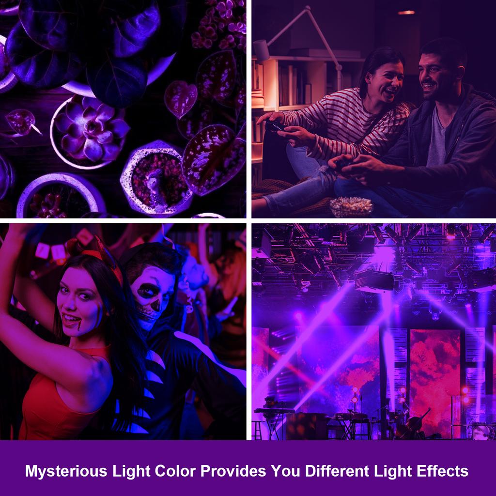 A C110V 20W Insects Trap Catcher Light Bulbs Spiral Shaped E27 Base Socket Holder 365NM Wavelength