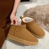 Fashion New Snow Boot Style Short Mini Winter Sheepskin Boots Women Waterproof Natural Wool Ankle Boots Fur Lined Ankle Warm Flat Shoes