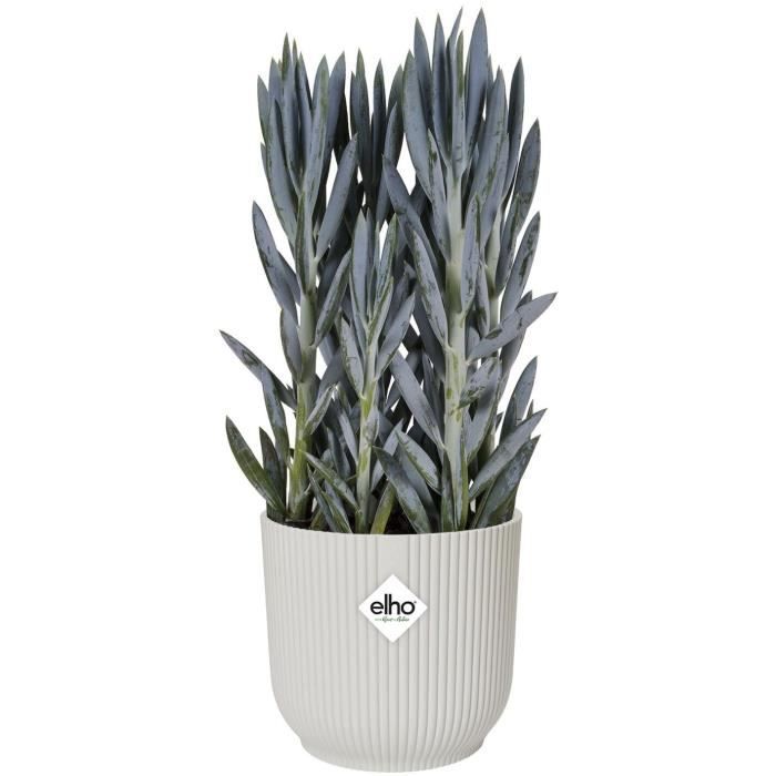 ELHO Round Flower Pot VIBES - Plastic - Ø25xH 23.0 Cm - White/Silk White