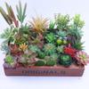 Diy Simulated Succulent Plant Hair Planting, Mini Fake Succulent Bonsai With Flower Arrangement, Simulated Plant