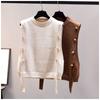 Women's Waistcoat Spring and Autumn Outer Wear Pullover Sweater 2023 Fashion Casual New Ladies Sleeveless Round Neck Knitted Top