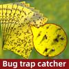 Double-sided Insect Sticky Device Can Quickly Catch All Kinds of Flying Insects, Insect Trap Board for Catching Small Flying Insects