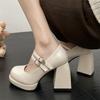 Fashion Vintage Black Mary Janes Shoes Woman Ankle Buckle Strap High Heels 2024 Fashion Beige Platform Pumps Woman Solid Elegant Heels