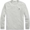Polo Solid Logo Embroidered Crew Neck Loose Long Sleeve T-Shirt Men Tops Gray MNPOTSH16820166-020