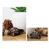 3Pcs Animal Planter Pot Feet Weatherproof Indoor Outdoor Turtle Frog Dog Shape Flowerpot Holder