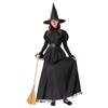 Halloween Witch Cosplay Costume: Wizard Hat, Robe, Masquerade Role Play