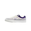 Кроссовки мужские Malor SB Wolf Grey Court Purple Platinum-Tint Summit-White FV6064-006