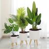 Self Watering Flower Pot Planter Pot with Solid Wood Legs Solid Color Flower Pot with Drainage Holes for Home Garden