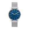 Skagen Signatur SKW6904 Men's Silver Watch