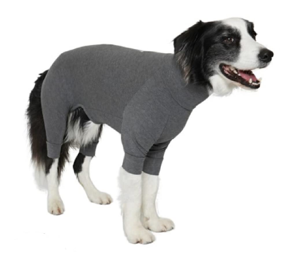 MANDARINE BROTHERS SKIN TIGHT SUIT Dog Inner Wear (XXL, GRAY)