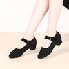 Professional Latin Dance Shoes Women Soft-soled Social Dance Shoes Soft-soled Teacher Body Training Shoes Square Dance Shoes