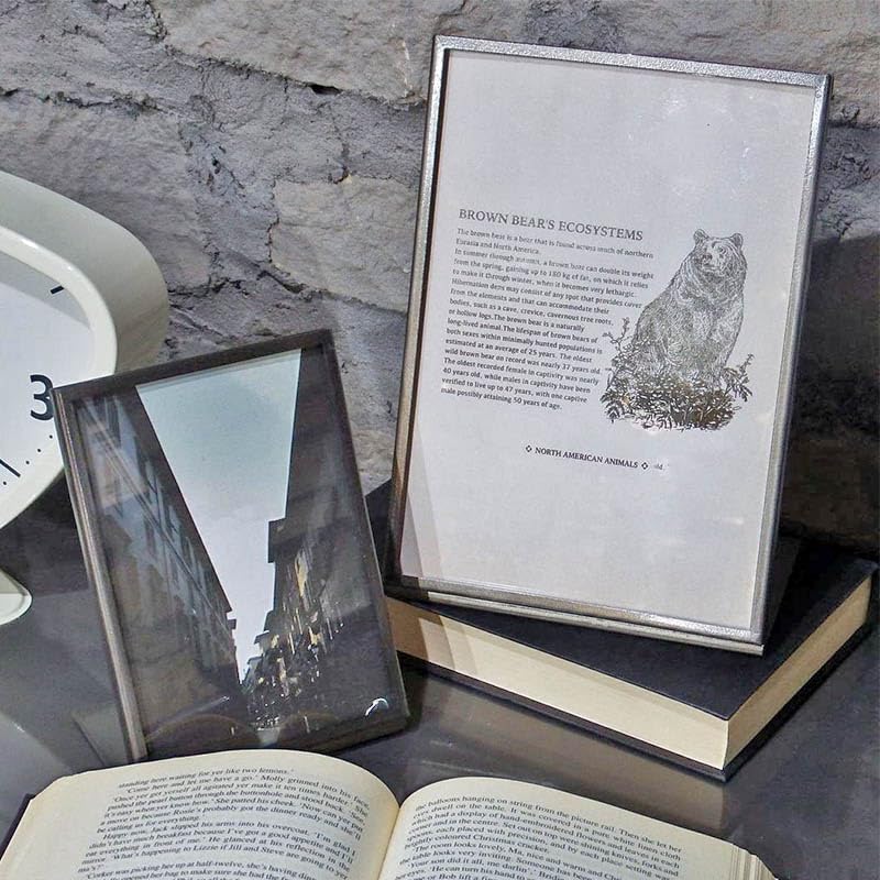 Dulton Metal Frame A6 Stylish Picture Display Photo Frame Stand Picture Frame Steel Glass 155 X 107 X 70mm L-Shaped K955-1263-A6