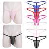 Men's See Through Thongs G-String Low Rise Underwear T-Back Bikini Briefs