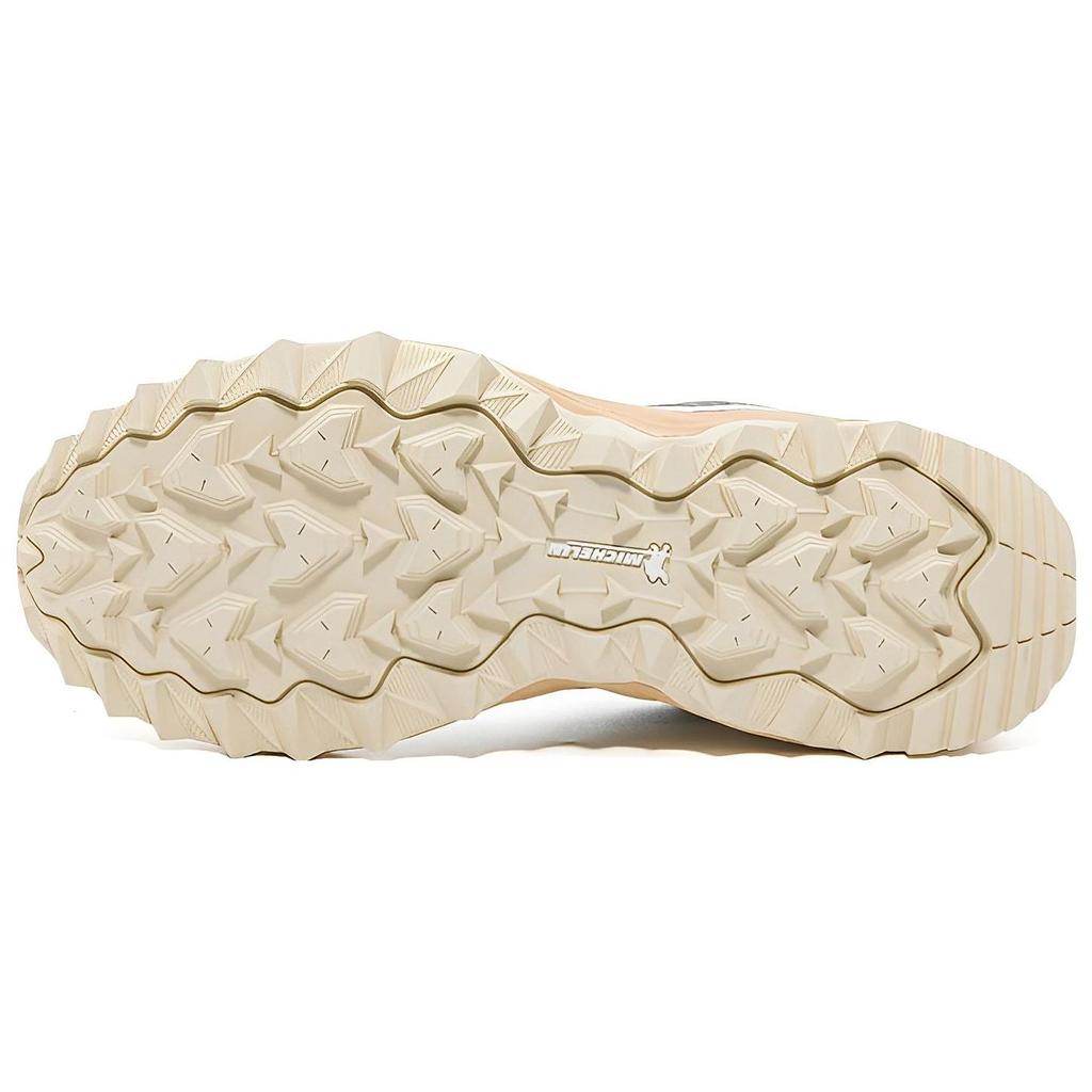 Mizuno Кроссовки унисекс Wave Mujin TL Gore-Tex Quiet Shade Silver Birch Ginger-Root D1GA221703