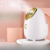 Household Small Face Steamer, Hot and Cold Hydration Spray Instrument, Beauty Instrument, Facial Cleansing, Moisturizing and Hot Spray Face Steamer