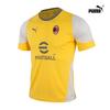 Puma Ac Milan Dry Cell Football Training Short Sleeve Jersey