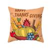 Autumn Harvest Thanksgiving Cushion Cover New Arrival Turkey Pumpkin Peach Skin Printed Cushion